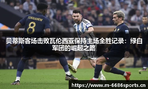 6686体育官方网站